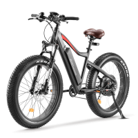 26 inch 5-speed electric assisted Pedal Assist Fat Tyre Electric Bicycle
