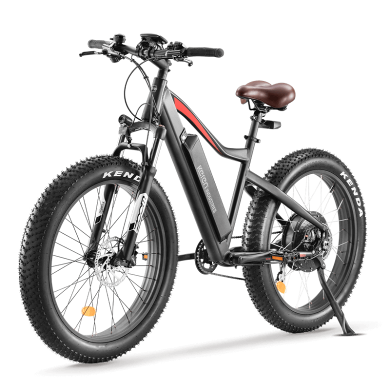 26 inch 5-speed electric assisted Pedal Assist Fat Tyre Electric Bicycle