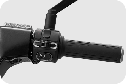 Multifunctional switches