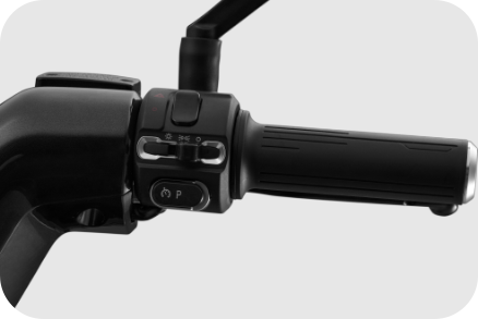 Multifunctional switches