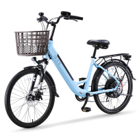 Torque sensor system pedal assist e-bike for seniors