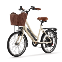 Pedal assist electric city bike with torque sensor