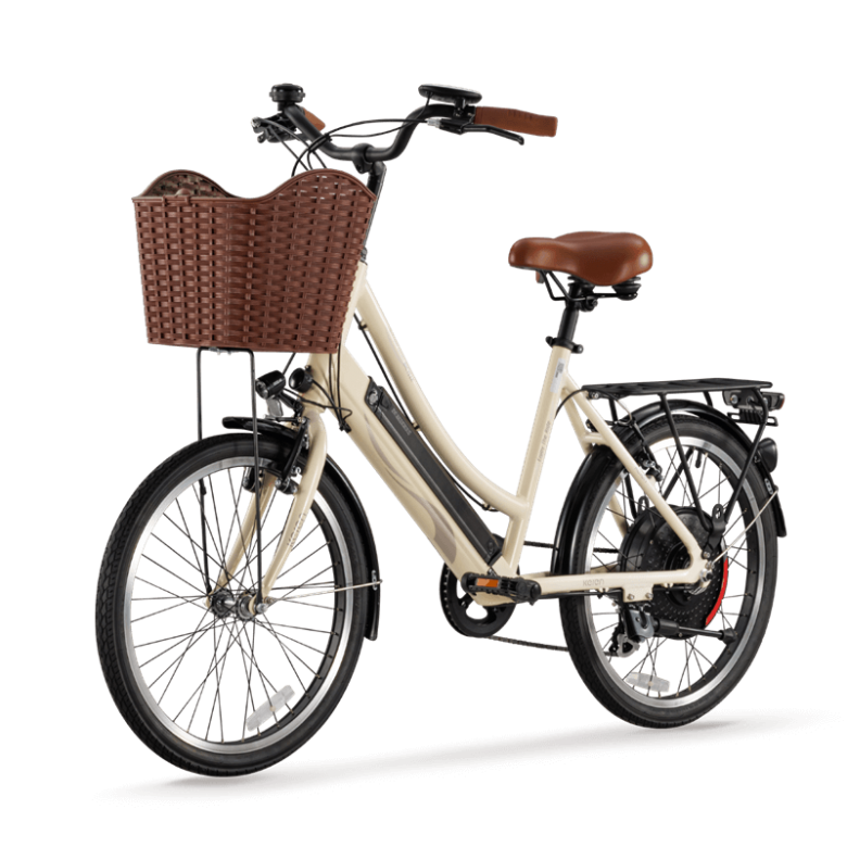 Pedal assist electric city bike with torque sensor