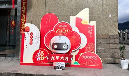 Wishing you a New Year filled with happiness and good fortune!