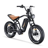 Torque sensor 36V 20Ah e bike fatbike electric fat tire bike