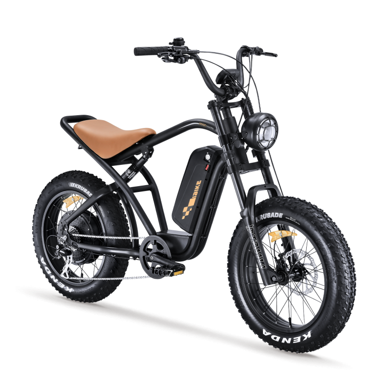 Torque sensor 36V 20Ah e bike fatbike electric fat tire bike